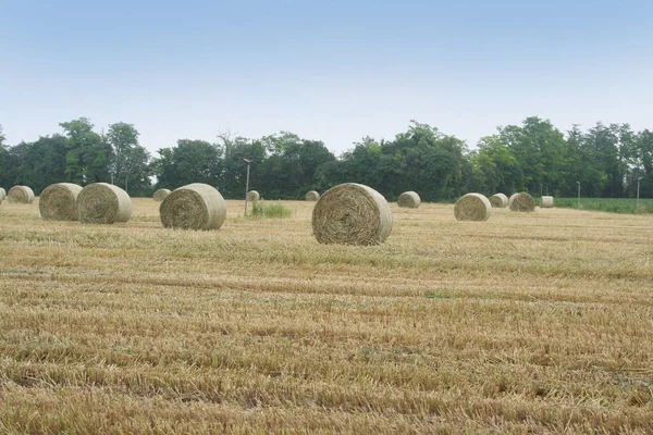 Bale Słomkowe Terenie Krajobraz Rolny Lecie — Zdjęcie stockowe