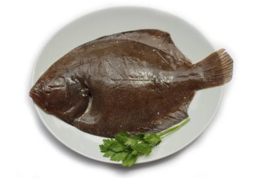 Beyaz arka planda izole edilmiş beyaz bir tabakta maydanozlu çiğ ya da turbot balığı.