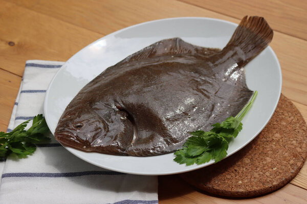Raw whole flounder or turbot fish with parsley on a white plate on wooden table