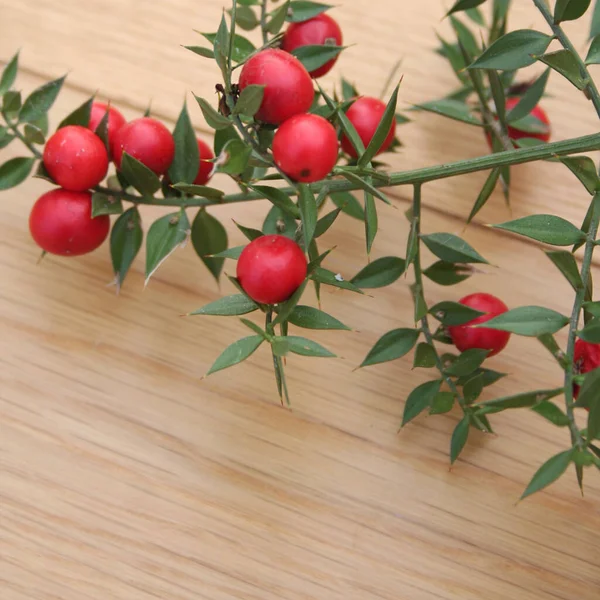 Ruscus Aculeatus Known Butcher Broom Branch Red Berries Green Leaves — Stock Photo, Image