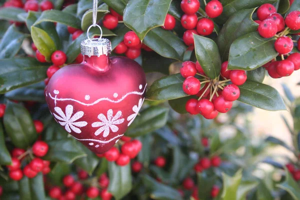Bola Decorativa Navidad Forma Corazón Arbusto Holly Con Bayas Rojas —  Fotos de Stock