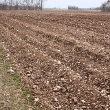 Kış mevsiminde tarla sürdüm. Tarım alanı