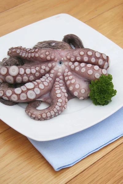 Fresh Whole Octopus Parsley Ready Cook Plate Wooden Backgorund — Stock Photo, Image
