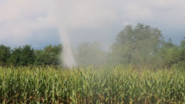 Sistema Irrigação Água Funcionamento Num Campo Milho Verde Época Verão — Vídeo de Stock