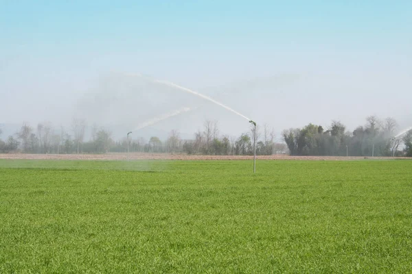 意大利农村春季灌溉小麦田的灌溉系统 — 图库照片