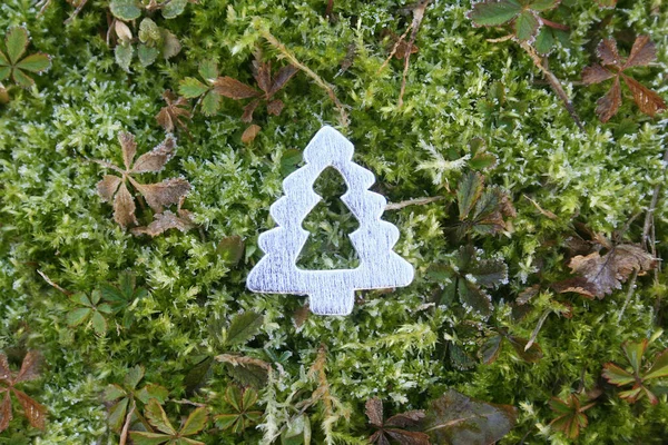 Silver Decoratioon Shape Christmas Tree Green Moss Background — Stock Photo, Image