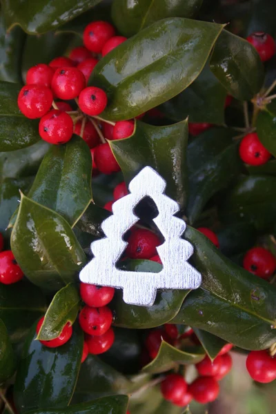 Stříbrný Dekoratioon Tvaru Vánočního Stromečku Cesmíně Červenými Bobulemi Pozadí — Stock fotografie