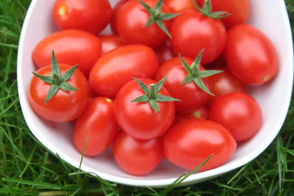 Czerwone Pomidory Wiśniowe Misce Zielonej Trawie — Zdjęcie stockowe