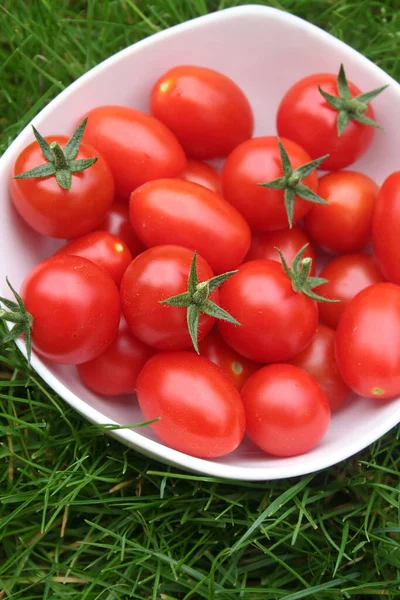 Czerwone Pomidory Wiśniowe Misce Zielonej Trawie — Zdjęcie stockowe