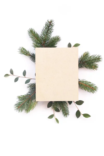 Green Leaves Green Pine Branches White Background Copy Space Christmas — Stock Photo, Image