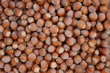 Tüm fındıkların en üst görüntüsü. Sonbahar yemekleri arka planı