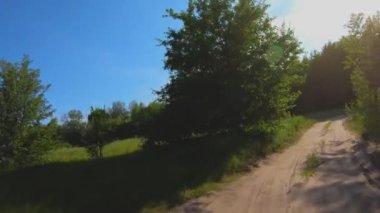 Güzel orman yolu. Orman yolu boyunca sür. Gün ormanı. Güneş çam ağaçlarının arasından parlıyor.