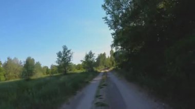 Güzel orman yolu. Orman yolu boyunca sür. Gün ormanı. Güneş çam ağaçlarının arasından parlıyor.