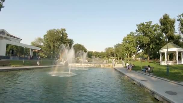 Spacer Pięknym Parku Czysty Piękny Park Centrum Miasta Odpoczynek Parku — Wideo stockowe