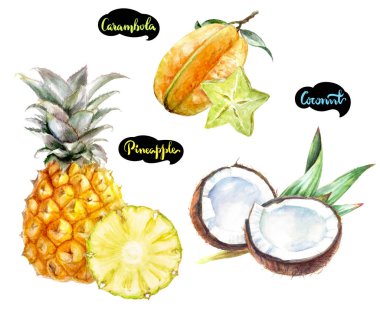 Carambola Hindistan cevizi ananas sulu boya