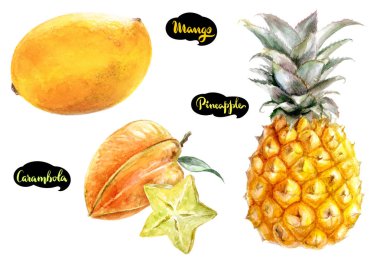 Carambola mango ananas sulu boya