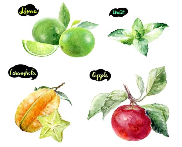 Carambola lime apple mint watercolor — Stock Photo, Image