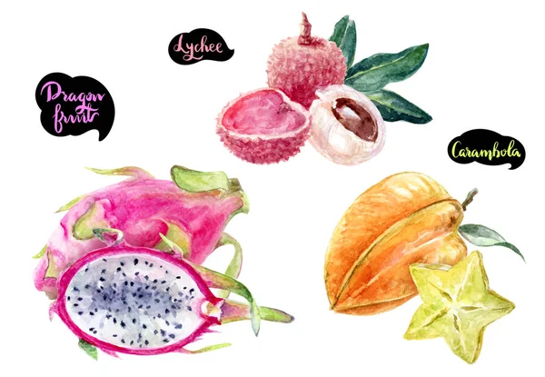 Carambola dragon fruit lychee watercolor — Stock Photo, Image