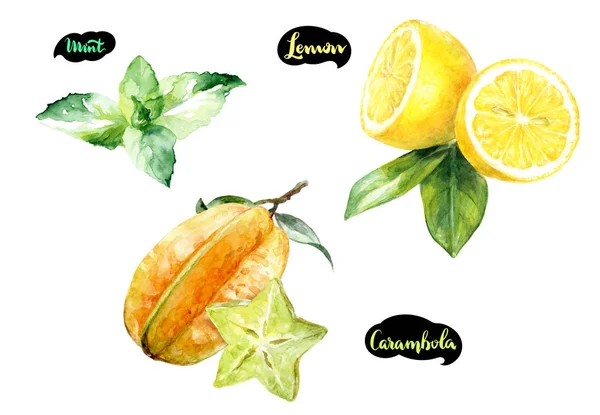 Karambola citrom menta akvarell — Stock Fotó