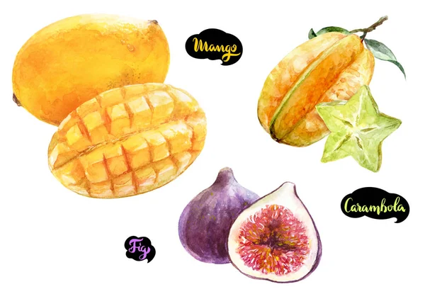 Carambola mango fig watercolor — Stock Photo, Image