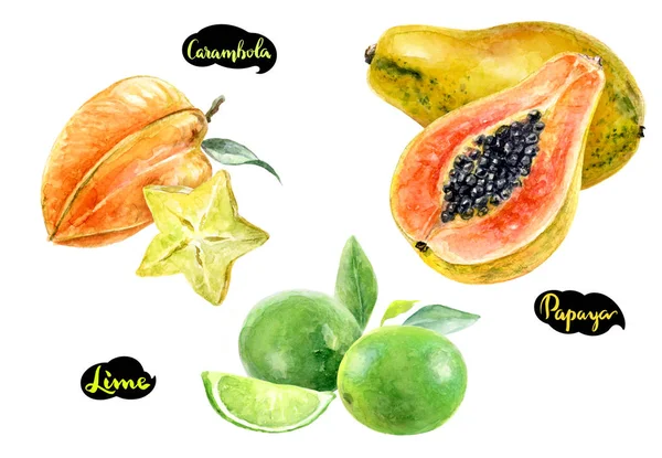 Carambola papaya lime watercolor — стоковое фото