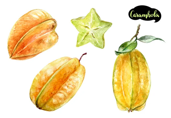 Carambola acuarela ilustración —  Fotos de Stock