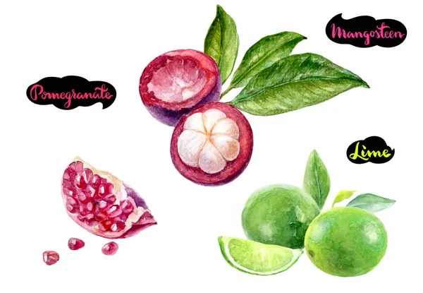 Mangosteen kalk granaatappel aquarel — Stockfoto