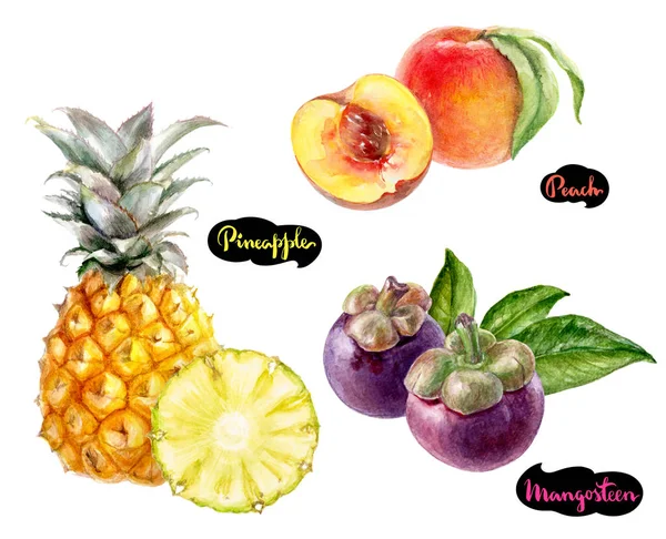 Mangosteen ananász, őszibarack akvarell — Stock Fotó