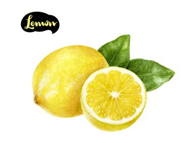 Limon sulu boya resim