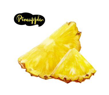 Ananas suluboya resim