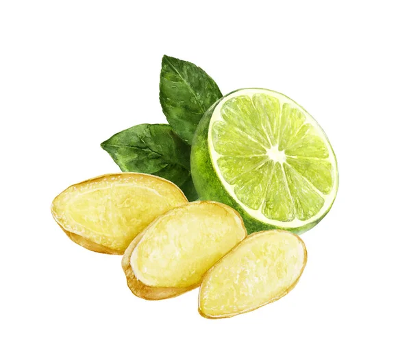 Gengibre limão aquarela ilustração — Fotografia de Stock
