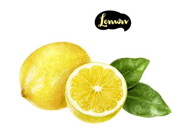 Lemon watercolor illustration — Stock Photo, Image