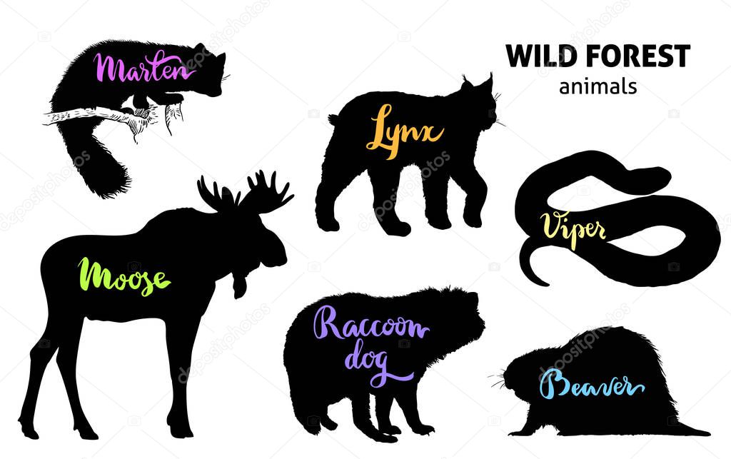 Wild forest animals set. Moose, marten, lynx, raccoon dog, beaver, viper vector illustration.