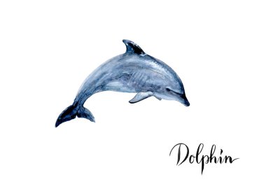 yunus suluboya el çizmek illüstrasyon