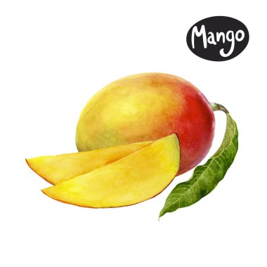 Mango suluboya resim