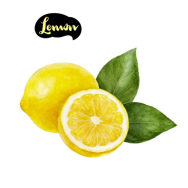 Lemon watercolor illustration — Stock Photo, Image