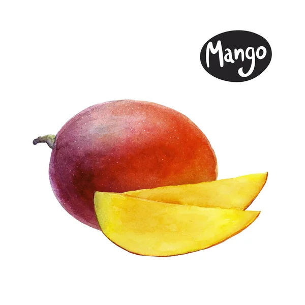 Ακουαρέλα εικονογράφηση μάνγκο — Φωτογραφία Αρχείου