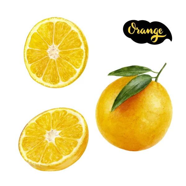 Pomarańczowy ilustracja akwarela — Zdjęcie stockowe