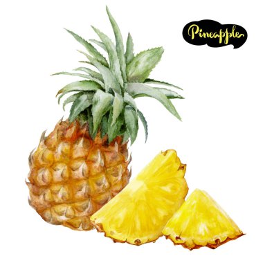Ananas suluboya resim