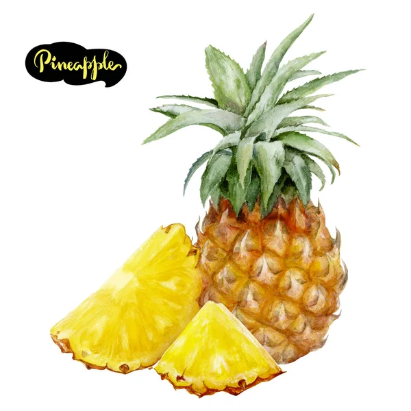 Ananas suluboya resim — Stok fotoğraf