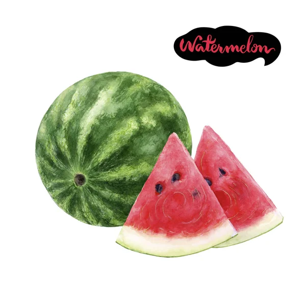 Watermeloen aquarel illustratie — Stockfoto