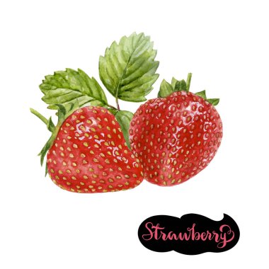 çilek suluboya resim