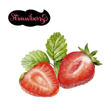 çilek suluboya resim