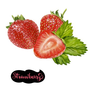 çilek suluboya resim