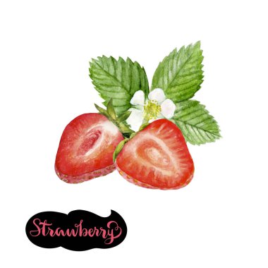 çilek suluboya resim