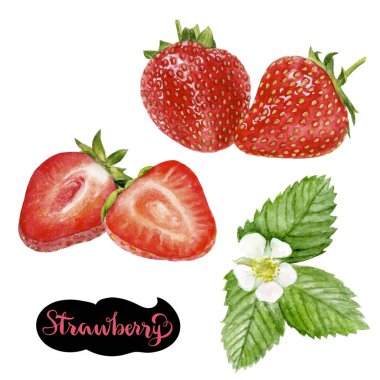 çilek suluboya resim