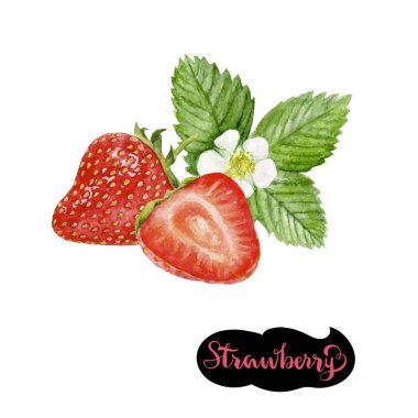 çilek suluboya resim