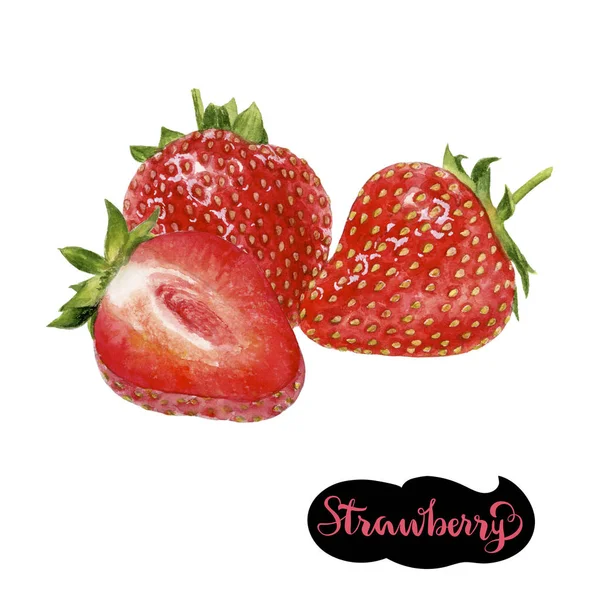 Erdbeer-Aquarell-Illustration — Stockfoto