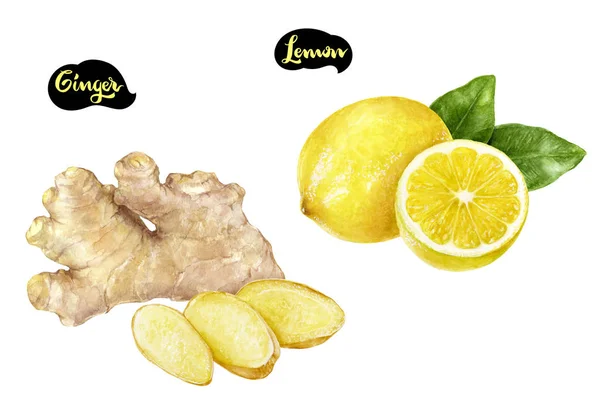 Gengibre limão aquarela mão desenhado ilustração conjunto — Fotografia de Stock