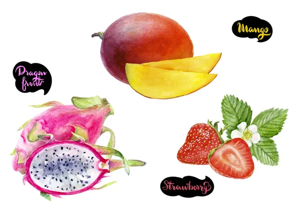 Mango sárkány gyümölcs eper akvarell kézzel rajzolt ábrán készlet — Stock Fotó